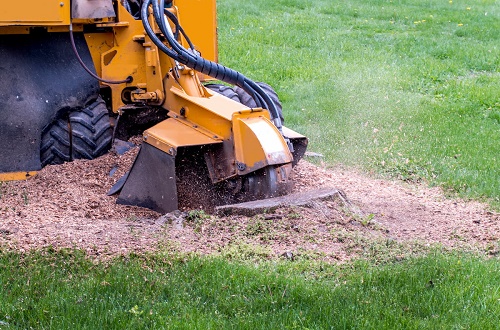 professional stump grinding Baltimore