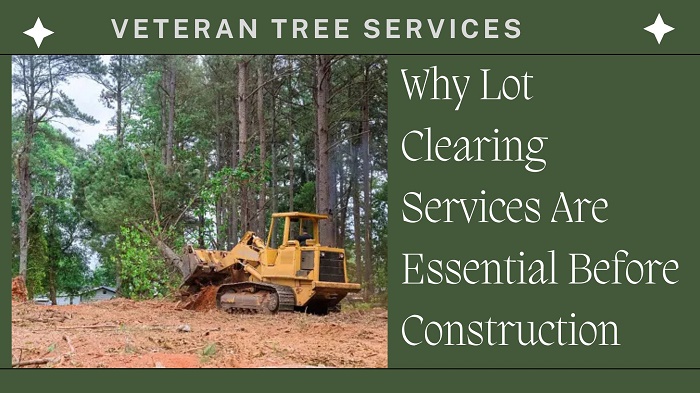 Lot Clearing Services Are Essential Before Construction