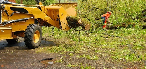 lot clearing services