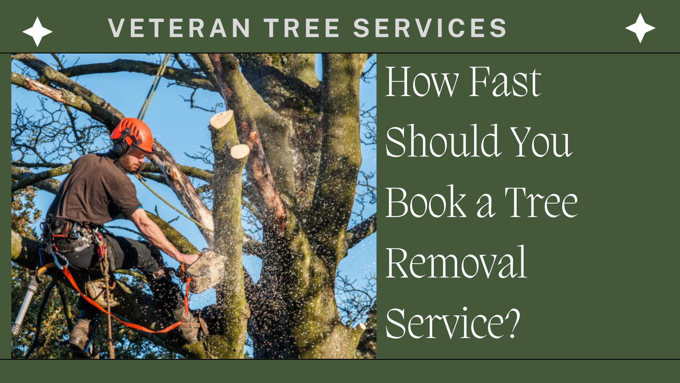 How Fast Should You Book a Tree Removal Service