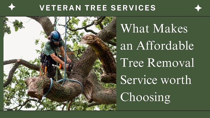Affordable Tree Removal Service worth Choosing